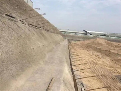 临西河道边坡加固